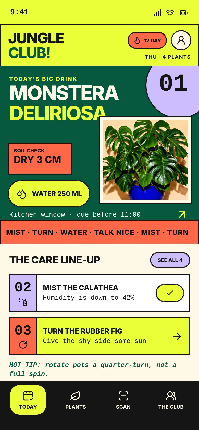 Jungle Club — Plant Care — .gui preview
